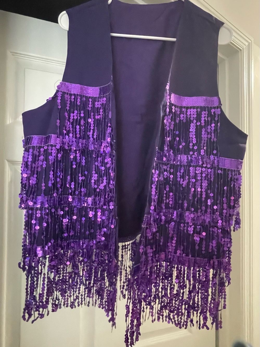Purple Sequin Fringe Vest